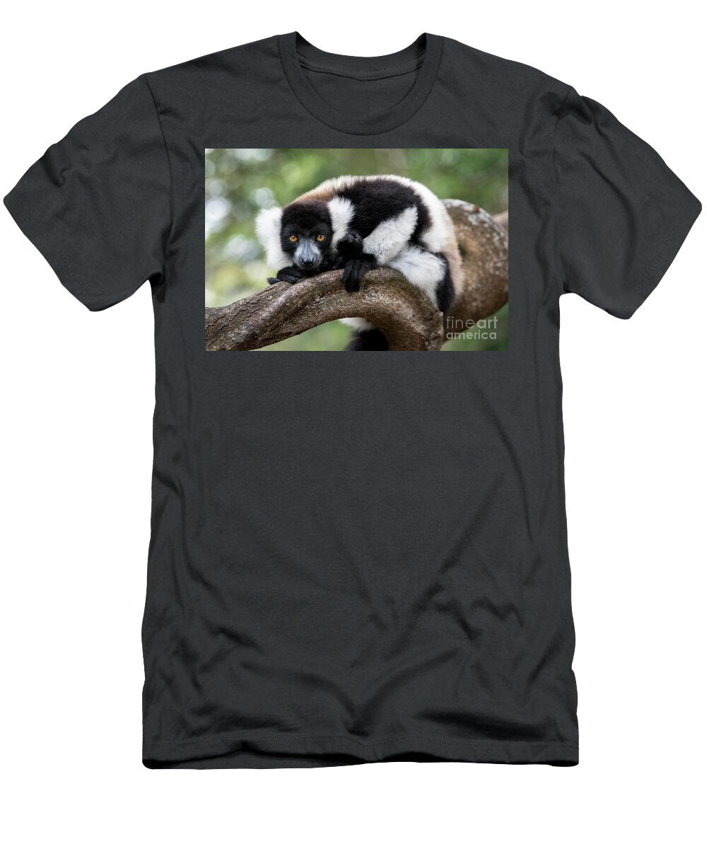 Black and White Ruffed Lemur Resting Tony Camacho T-Shirt
