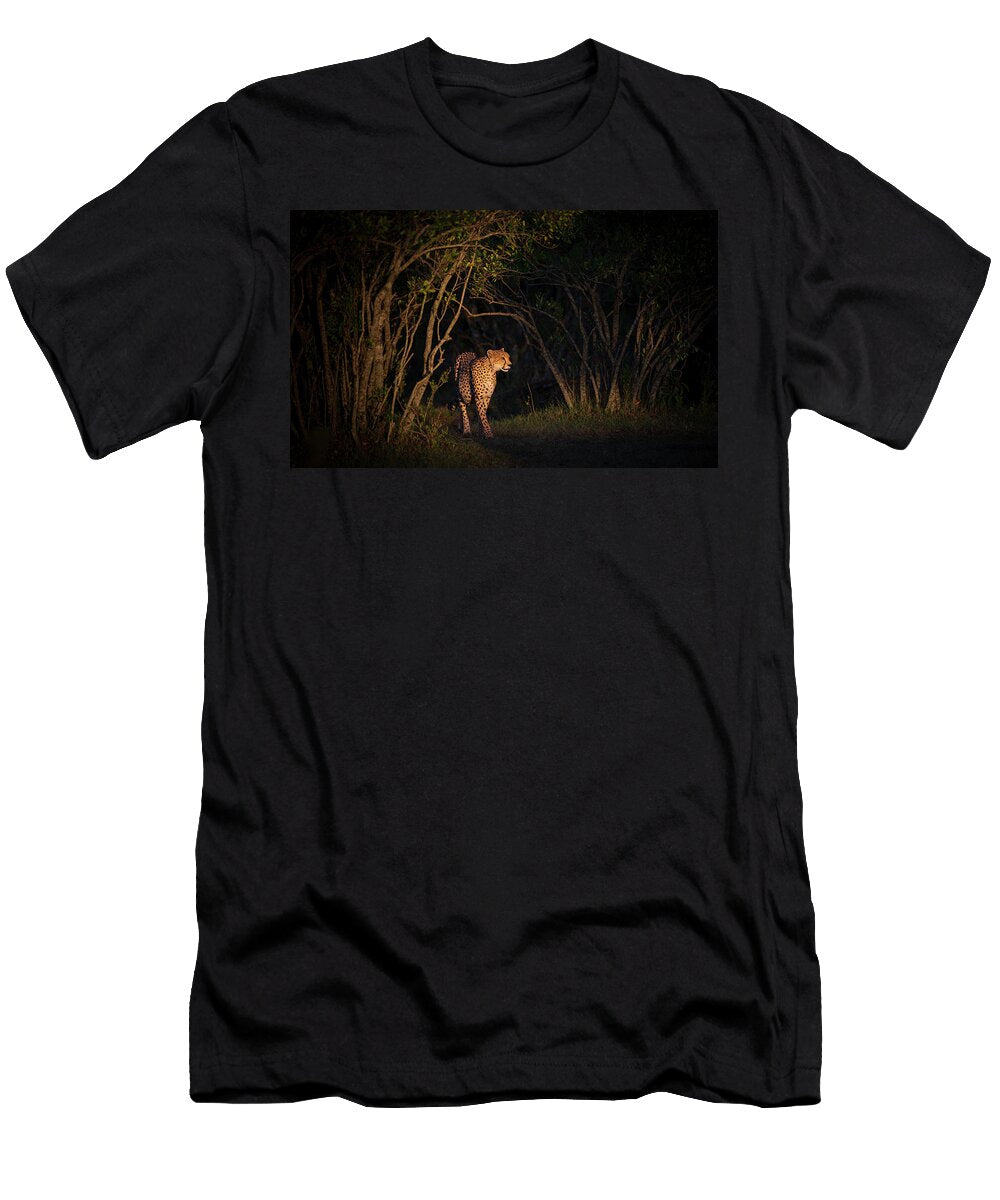 Cheetah Walking Out From Trees At Night Masai Mara Wim Van Den Heever Natureplcom T-Shirt