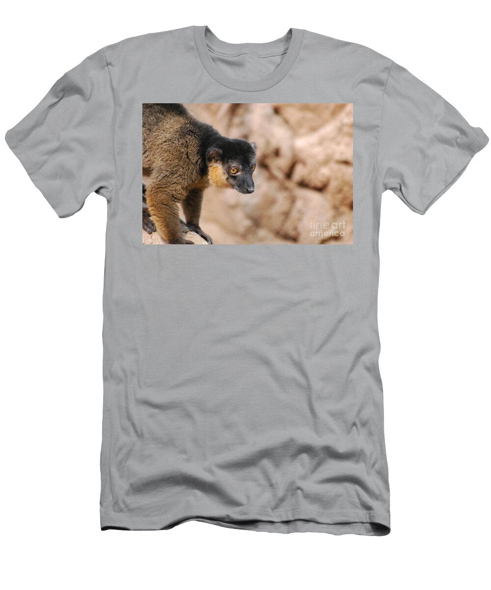 Collared Lemur Balancing Dr Management T-Shirt