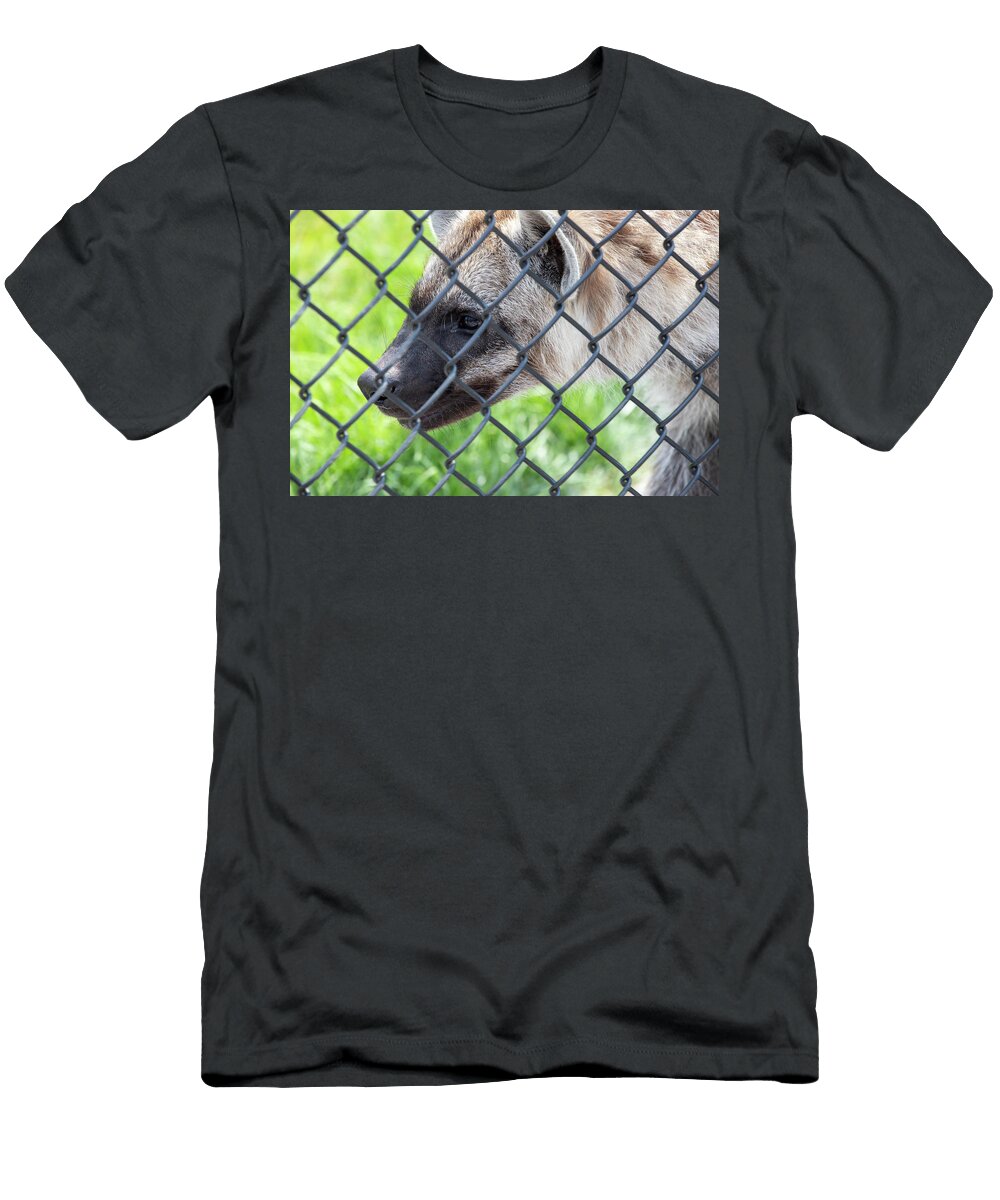 Fenced in David Stasiak T-Shirt