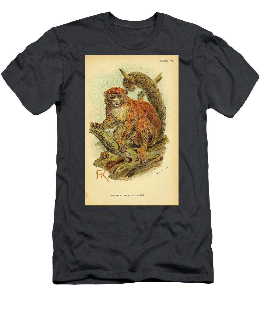 Grey Gentle Lemur Zoologist T-Shirt