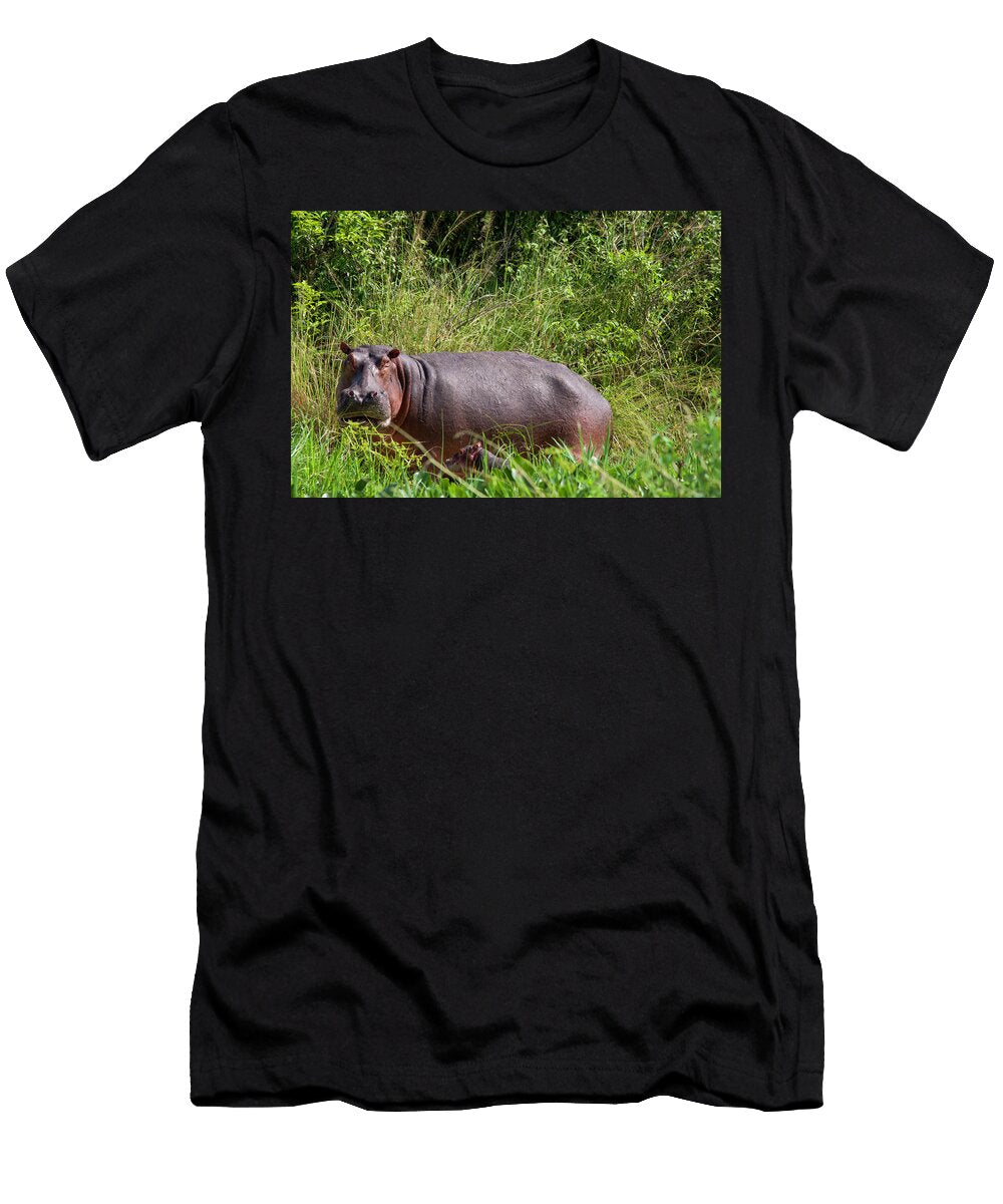 Hippo Momma and Two Day Old Baby Rik Katz T-Shirt