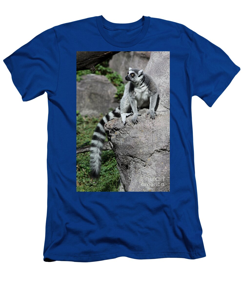 Lemur Pose Christiane Schulze T-Shirt