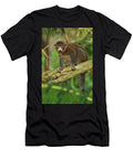 Mongoose Lemur Sitting on Branch Moheli Pascal Kobeh Natureplcom T-Shirt