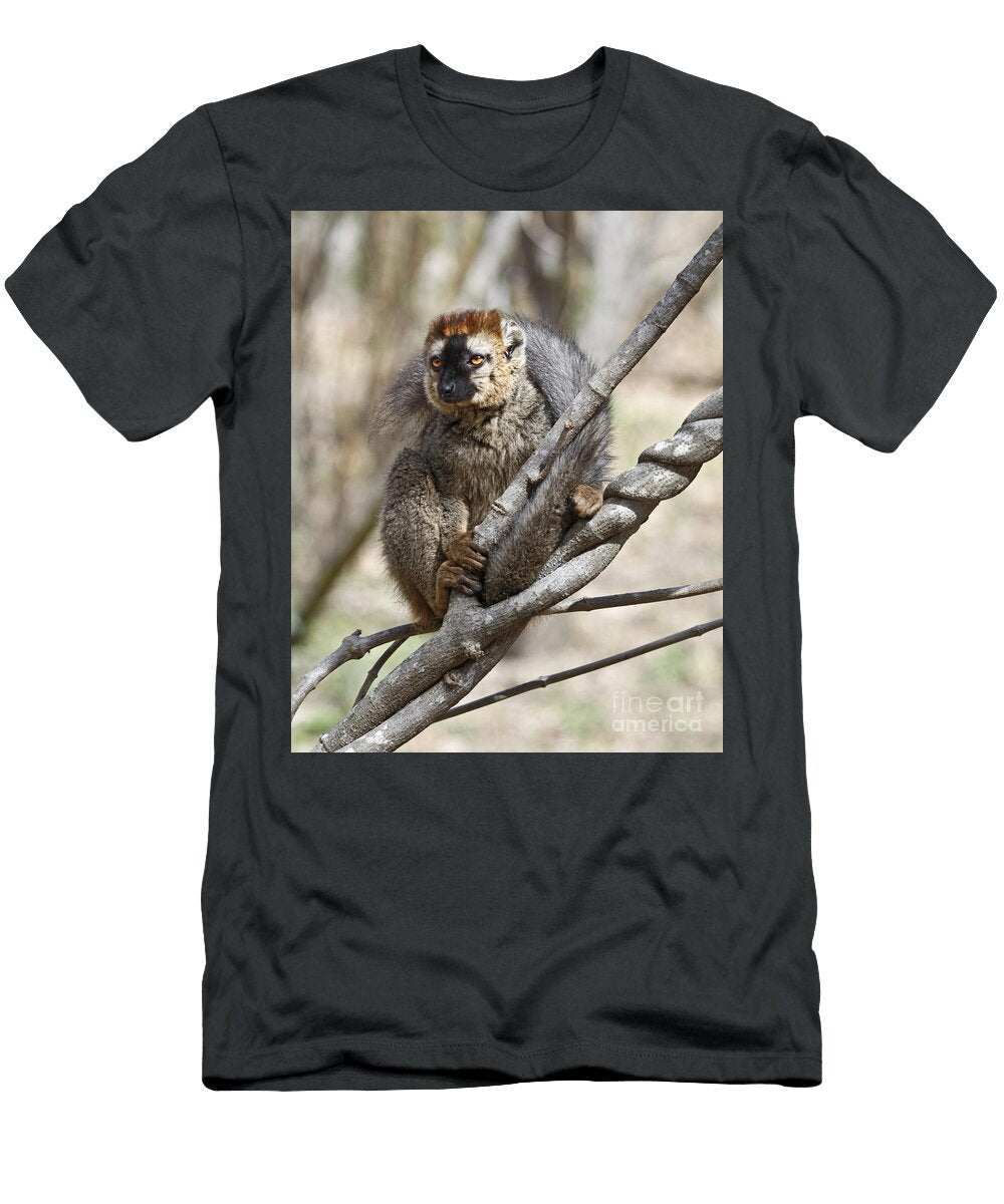 Red Fronted Lemur Eulemur Rufifrons Liz Leyden T-Shirt