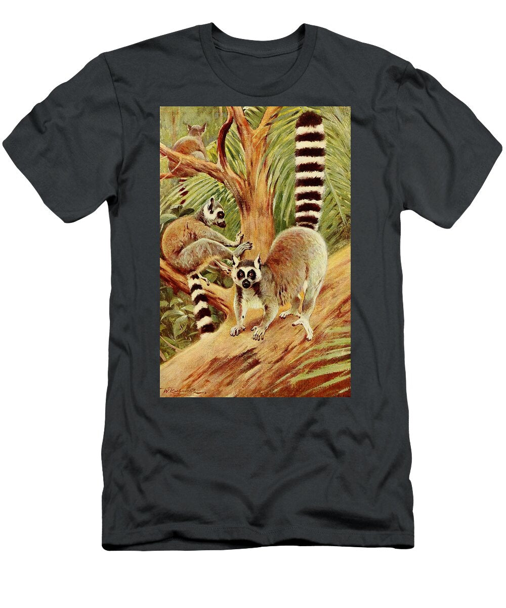 Ring Tailed Lemur Beautiful Nature Prints T-Shirt