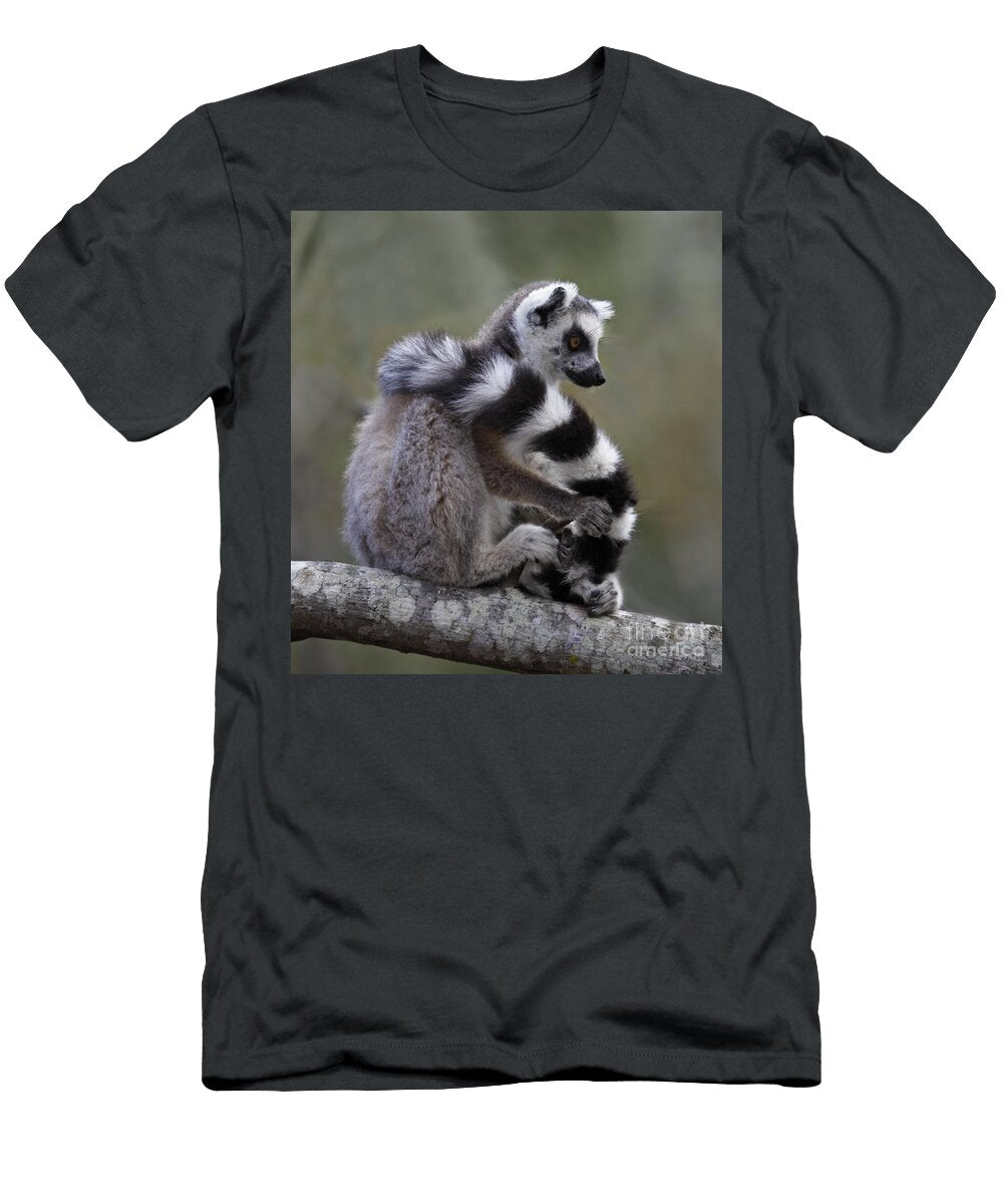 Ring Tailed Lemur Lemur Catta Liz Leyden T-Shirt