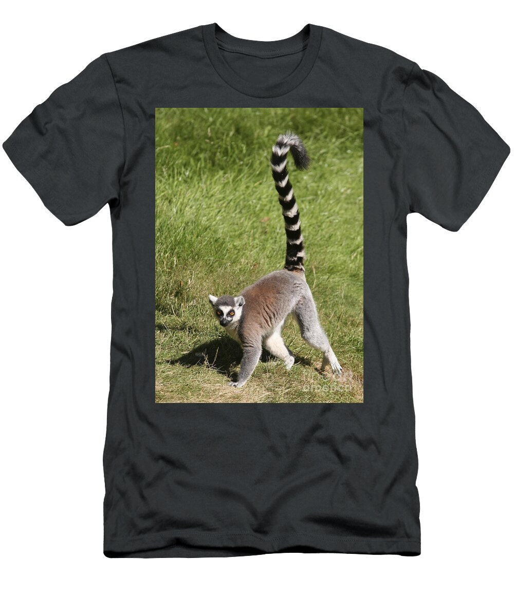 Ring Tailed Lemur Liz Leyden T-Shirt
