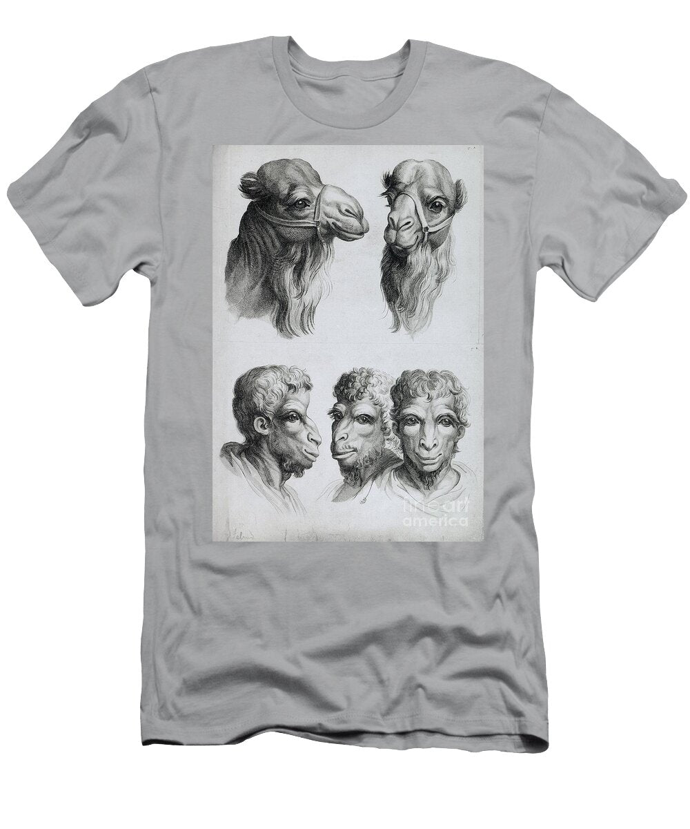 Similarities Between the Head of a Camel and a Man From Livre De Portraiture Pour Ceux Qui Commencent a Dessiner By Le Brun Charles Le Brun T-Shirt