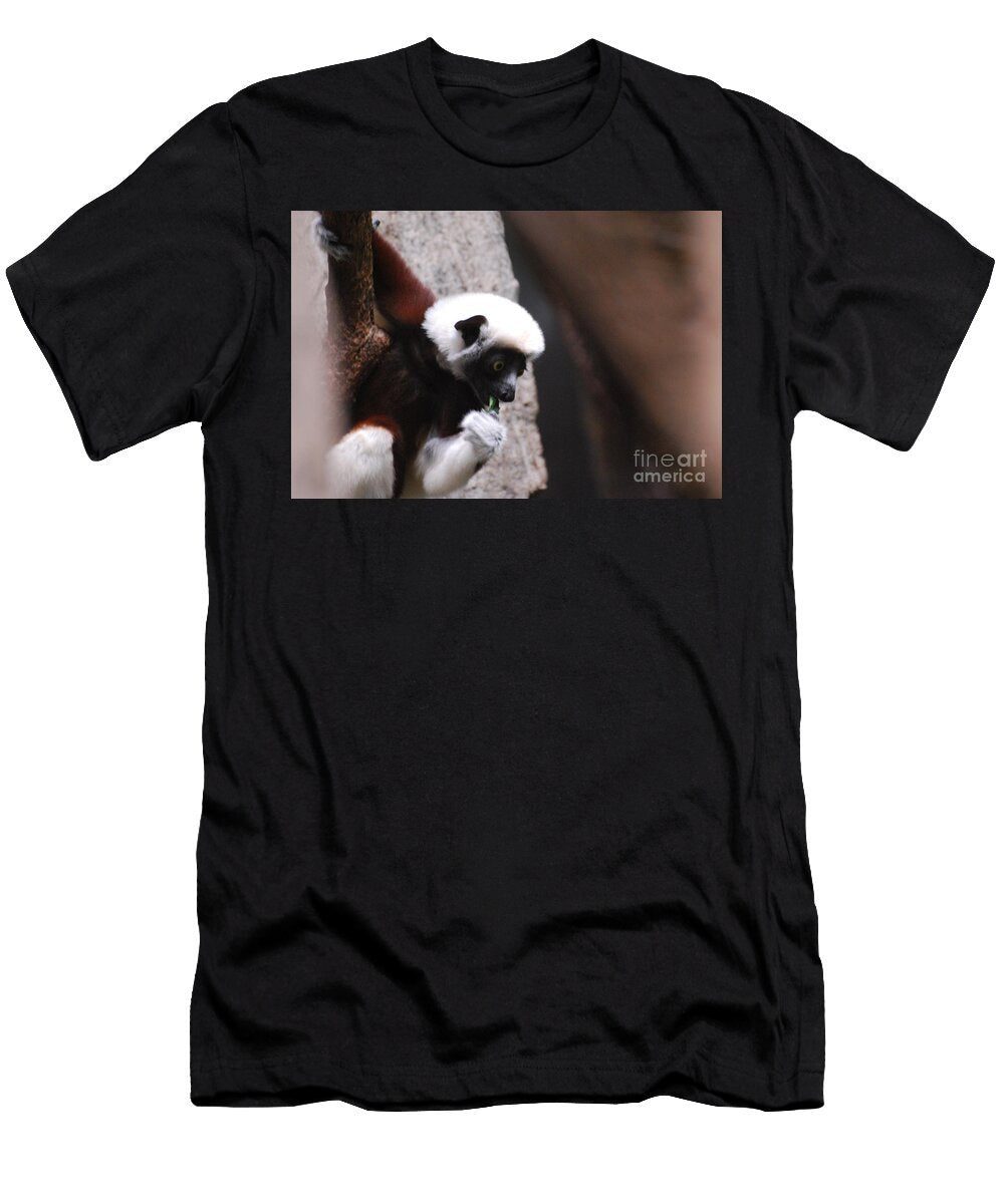 Snacking Lemur Dr Management T-Shirt