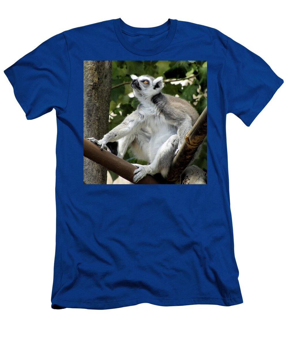 Stare Bob Slitzan T-Shirt