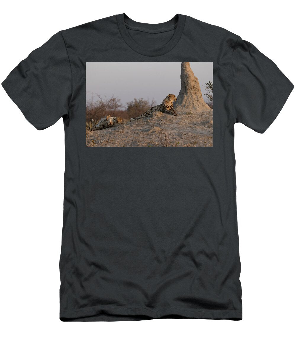 Two Cheetah Brothers Resting Next to Termite Mound Kristel Richard Natureplcom T-Shirt