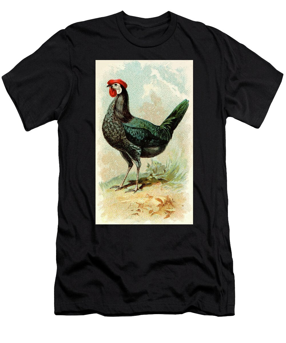White Faced Black Spanish Hen Vintage Animal Illustration Picked and Shared T-Shirt