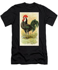 White Faced Black Spanish Rooster Vintage Animal Illustration Picked and Shared T-Shirt